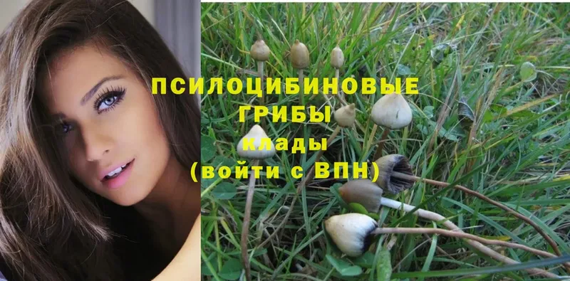 Галлюциногенные грибы Magic Shrooms  Барабинск 